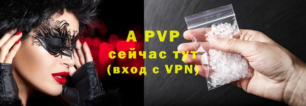 твердый Дмитровск
