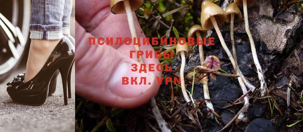 амф Алексеевка