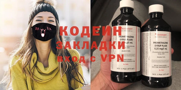 хмурый Дмитров